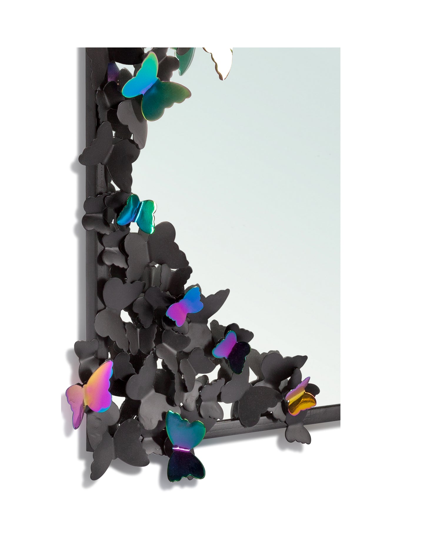 Flutter Rectangular Mirror